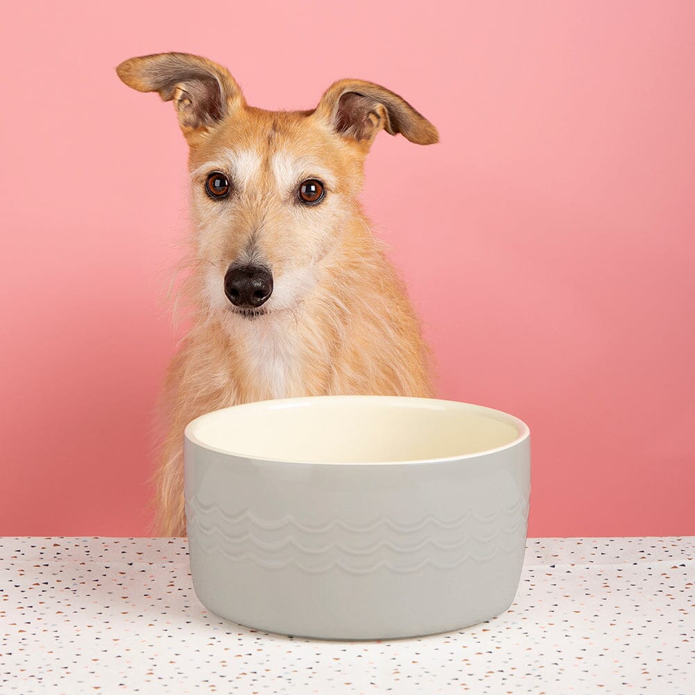 Icon 2 Piece Set 13cm Cat & Small Pet Food & Drink Bowl Set - Light Grey Pet Bowls, Feeders & Waterers Scruffs®