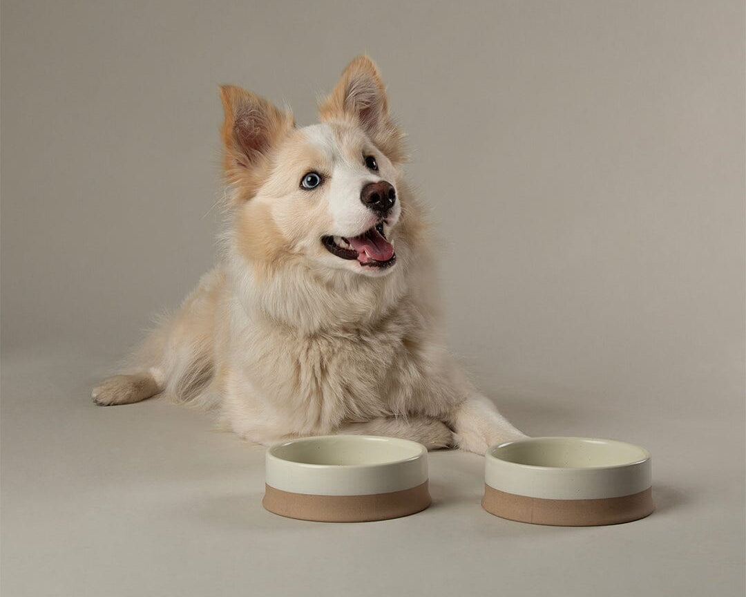 Scandi 2 Piece Non Tip Pet Food & Water Bowl - Cream Pet Bowls, Feeders & Waterers Scruffs®