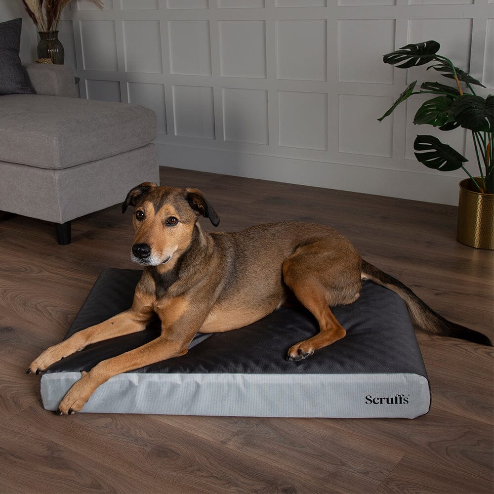 ArmourDillo Orthopaedic Dog Bed Dog Bed Scruffs®