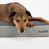 ArmourDillo Orthopaedic Dog Bed Dog Bed Scruffs® 