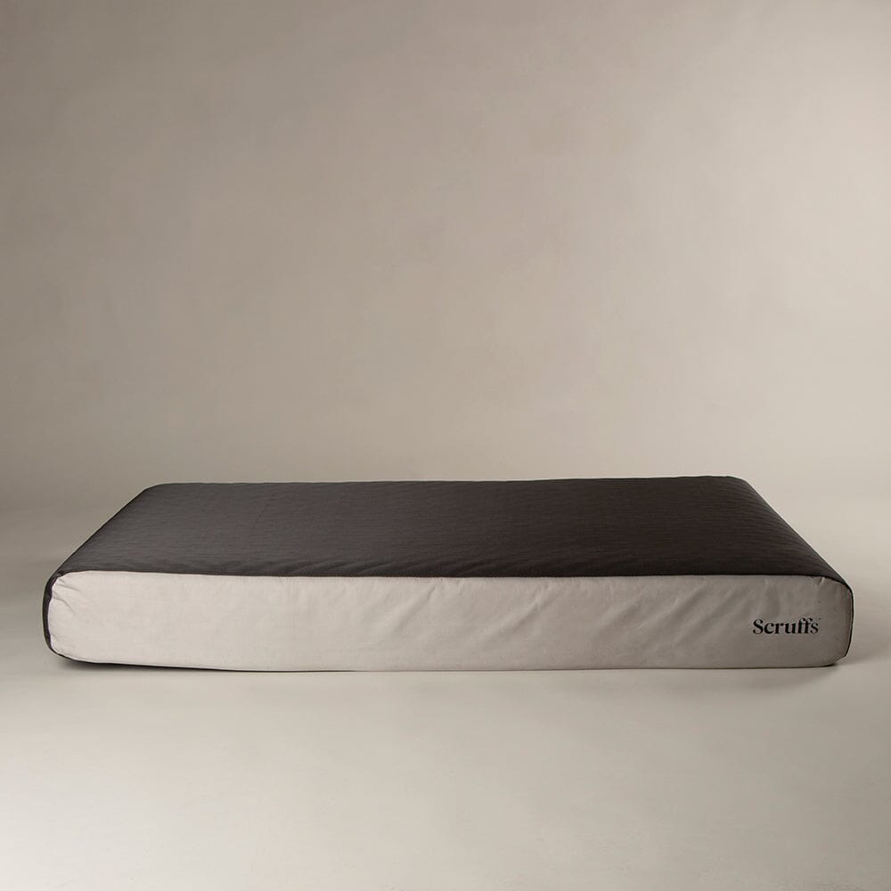 ArmourDillo Orthopaedic Dog Bed Dog Bed Scruffs®