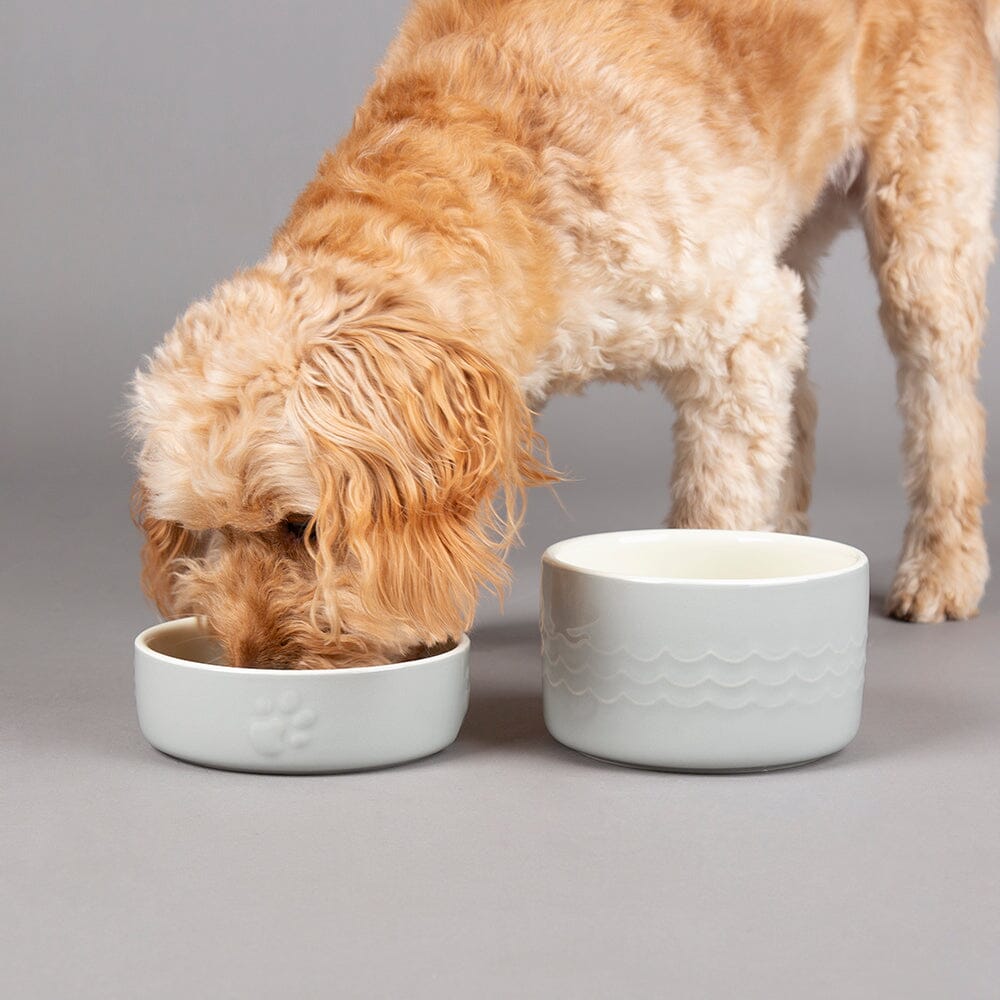 Icon 2 Piece Pet Food & Water Bowl Set - 15cm Grey Pet Bowls, Feeders & Waterers Scruffs®