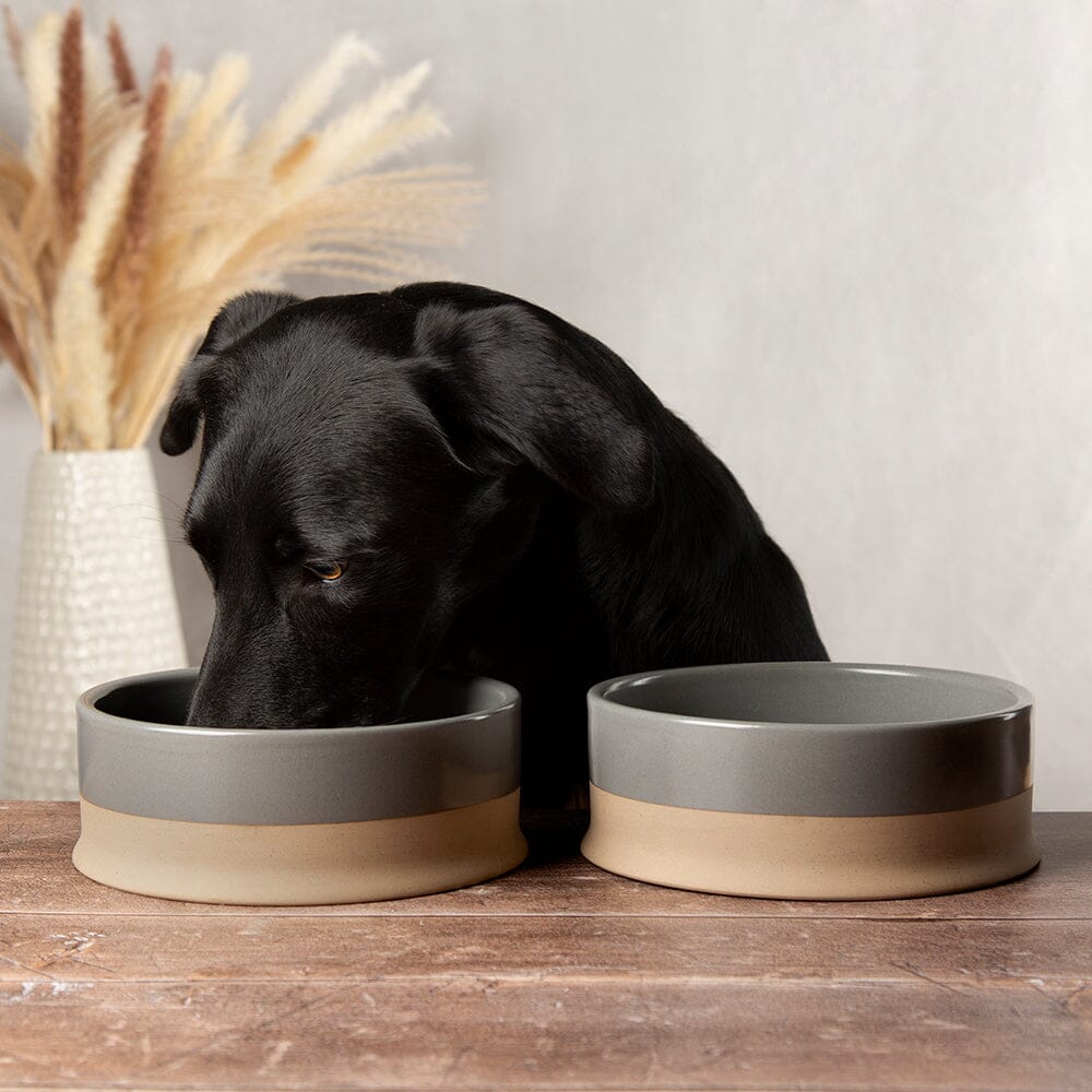 Scandi 2 Piece Non Tip Pet Food & Water Bowl - Grey Pet Bowls, Feeders & Waterers Scruffs® 20 x 20 x 7cm | 1.3L