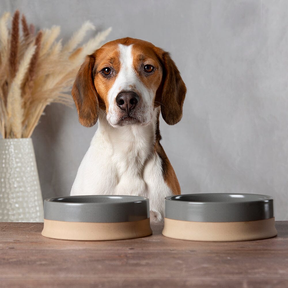 Scandi 2 Piece Non Tip Pet Food & Water Bowl - Grey Pet Bowls, Feeders & Waterers Scruffs®
