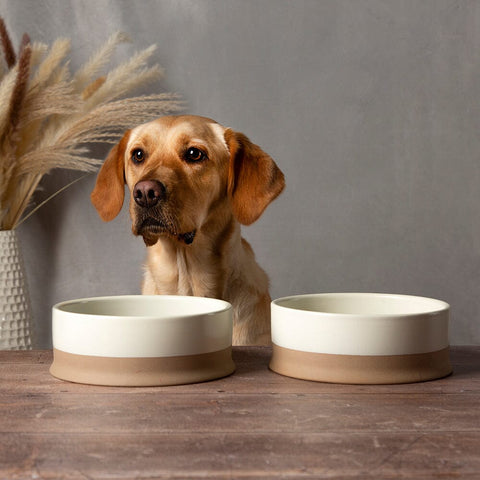 Scandi Dog Bowl Set in Cream - Ceramic Pet Bowl - Scruffs