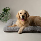 Cosy Crate Mat - Grey Dog Bed Scruffs®