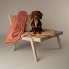 Snuggle Blanket - Terracotta Dog Blanket Scruffs®