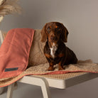 Snuggle Blanket - Terracotta Dog Blanket Scruffs®