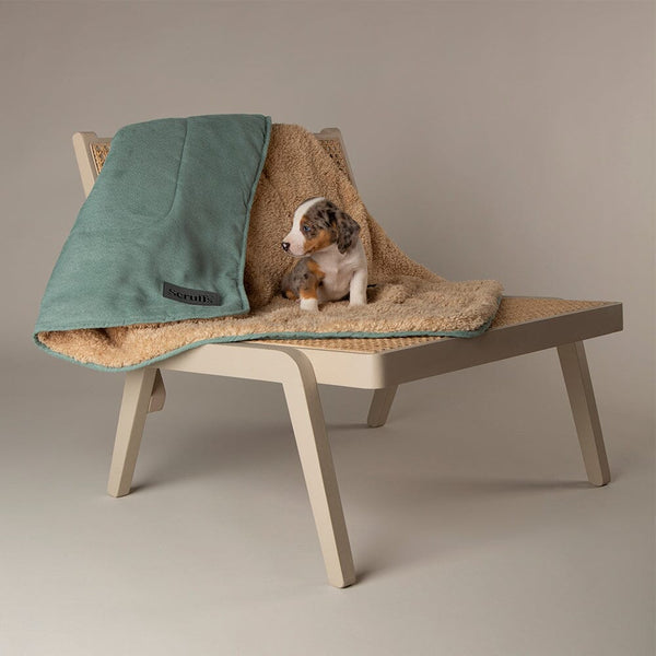 Snuggle Blanket - Sage Green Dog Blanket Scruffs®