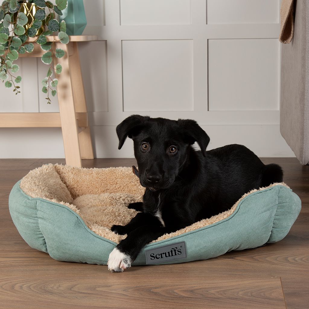 Cosy Soft-Walled Dog Bed - Sage Green Dog Bed Scruffs®