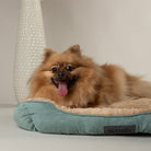 Cosy Soft-Walled Dog Bed - Sage Green Dog Bed Scruffs®