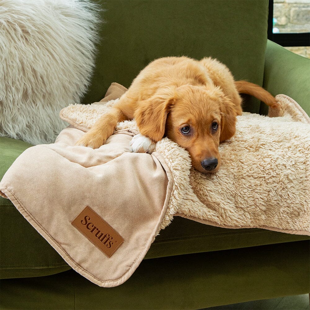 Snuggle Blanket - Desert Sand Dog Blanket Scruffs®