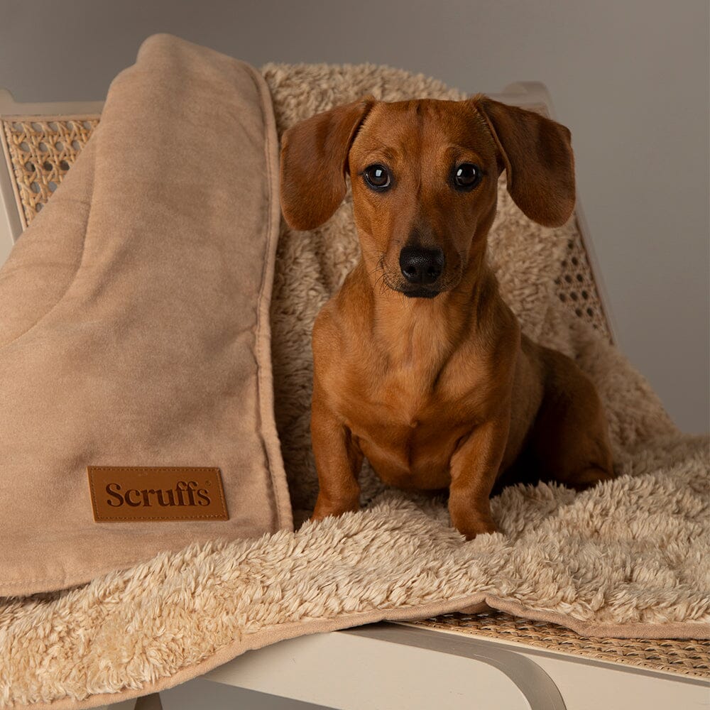 Snuggle Blanket - Desert Sand Dog Blanket Scruffs®