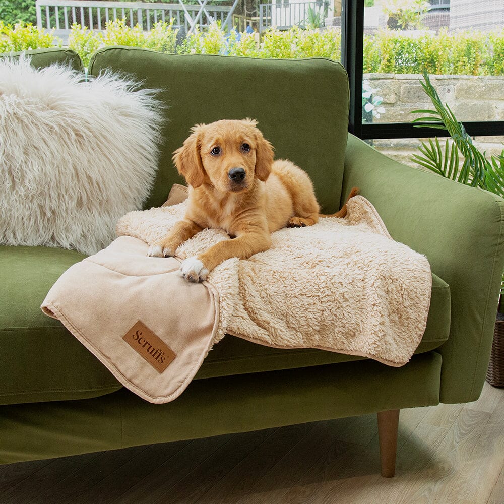 Snuggle Blanket - Desert Sand Dog Blanket Scruffs®