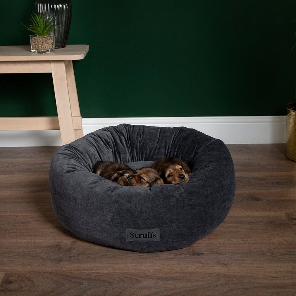 Oslo Ring Bed - Stone Grey Dog Bed Scruffs®