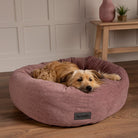 Oslo Ring Bed - Blush Pink Dog Bed Scruffs®