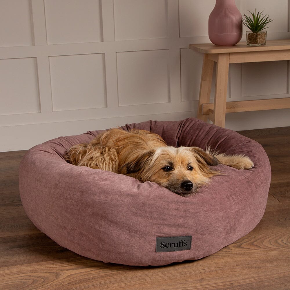 Oslo Ring Bed - Blush Pink Dog Bed Scruffs®