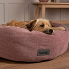 Oslo Ring Bed - Blush Pink Dog Bed Scruffs®
