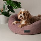 Oslo Ring Bed - Blush Pink Dog Bed Scruffs®