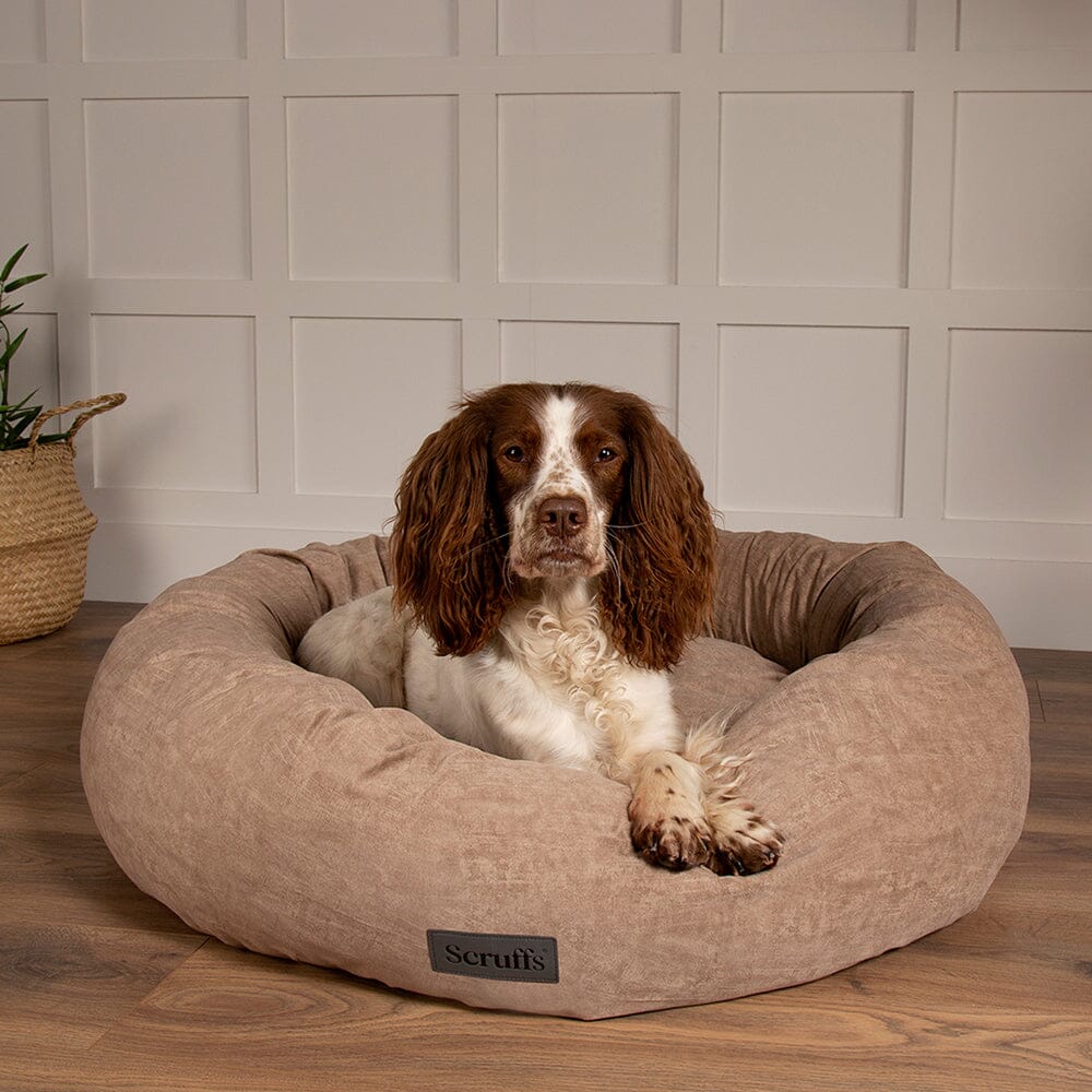 Oslo Ring Bed - Desert Sand Dog Bed Scruffs®