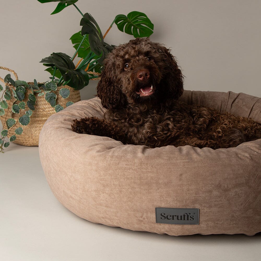 Oslo Ring Bed - Desert Sand Dog Bed Scruffs®