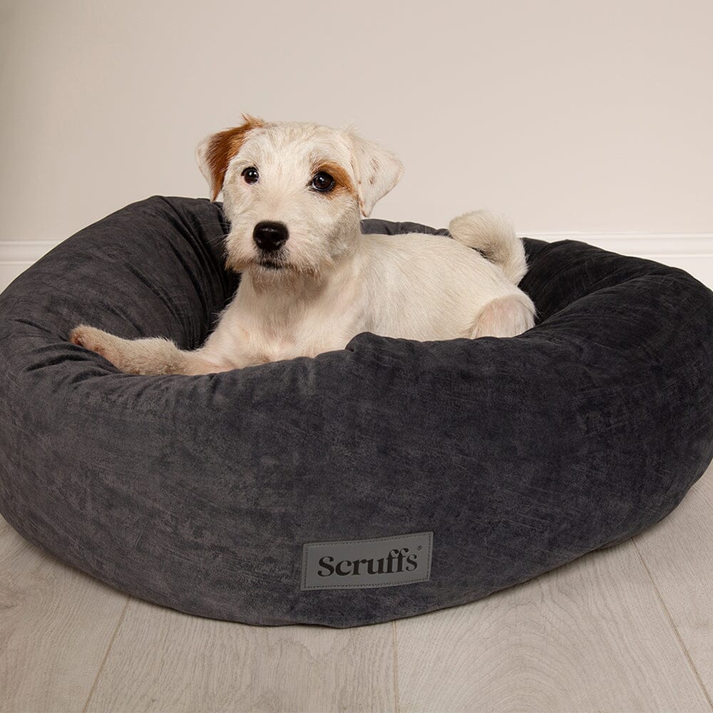 Oslo Ring Bed - Stone Grey Dog Bed Scruffs®