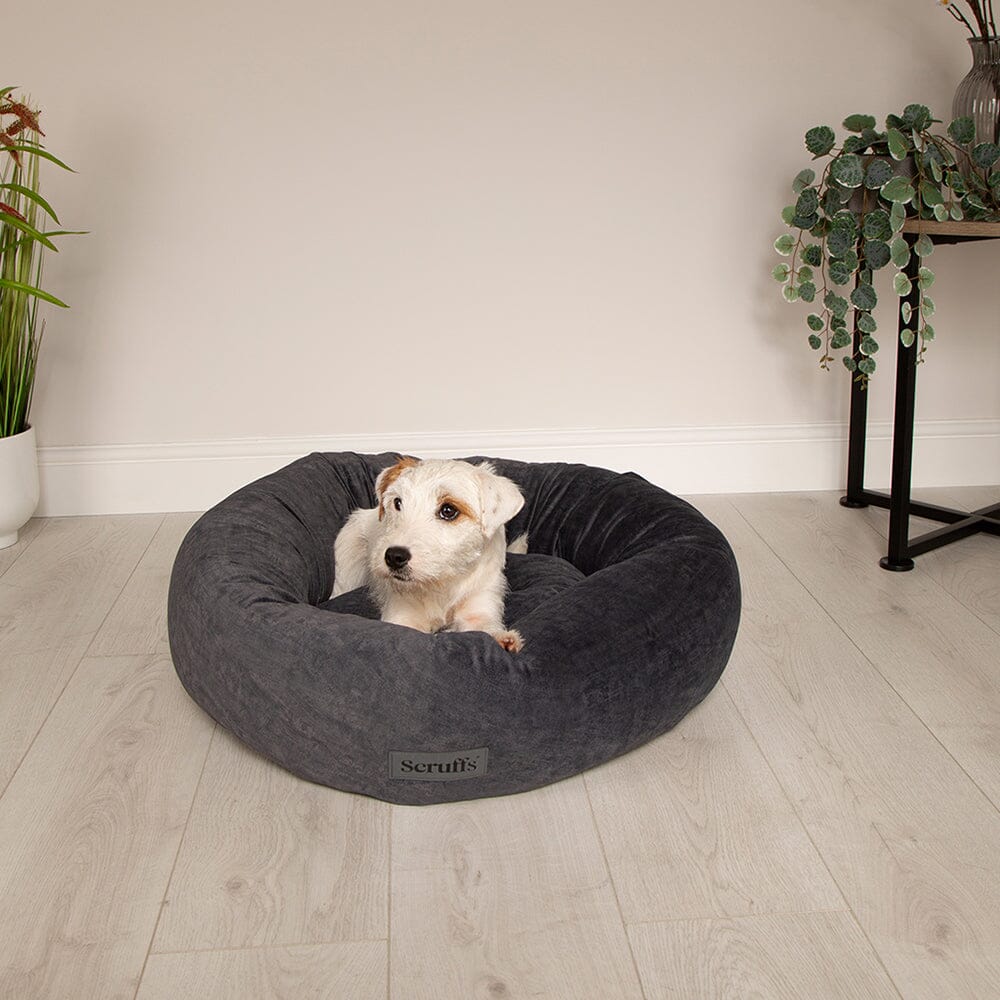 Oslo Ring Bed - Stone Grey Dog Bed Scruffs®