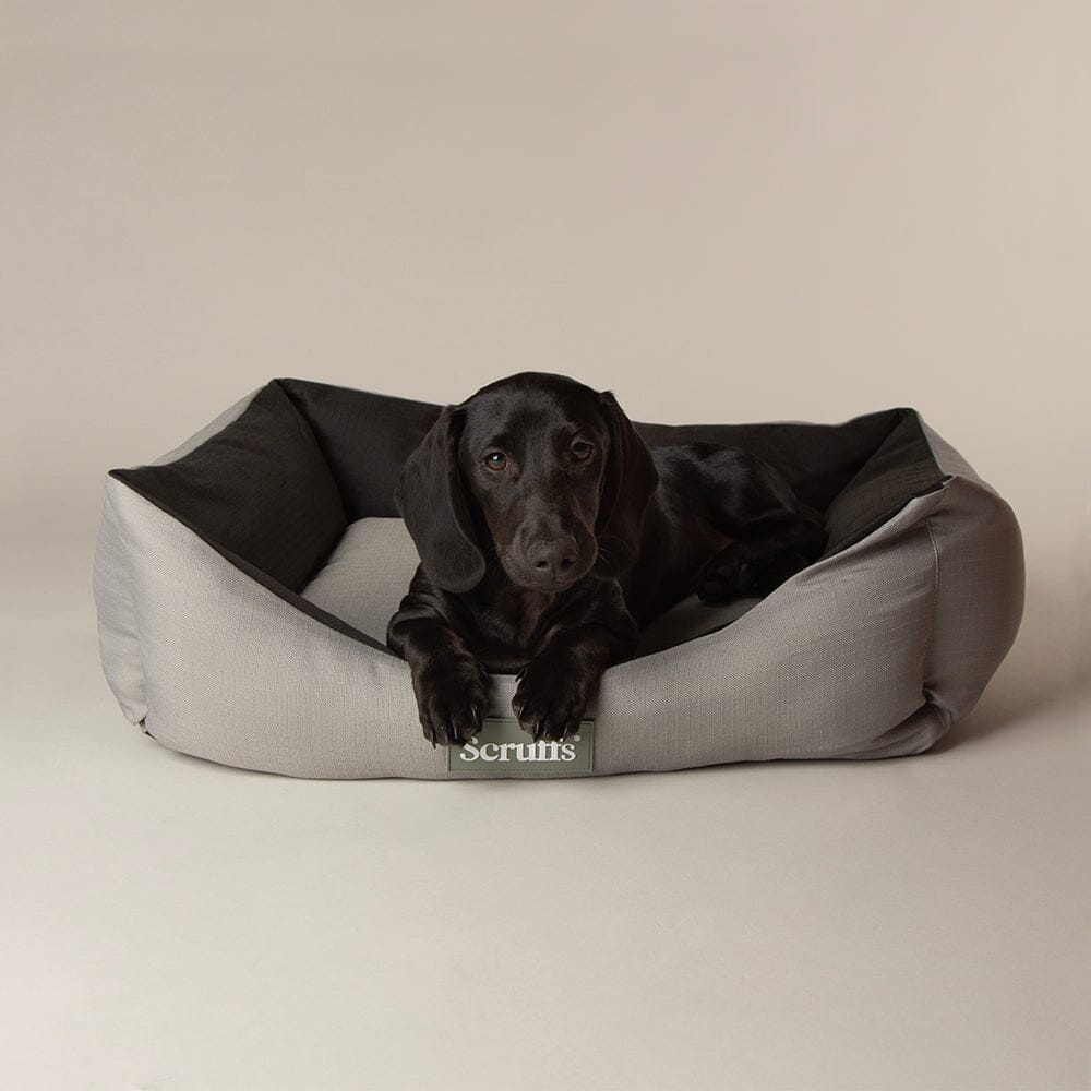 Expedition Box Bed - Storm Grey Dog Bed Scruffs®