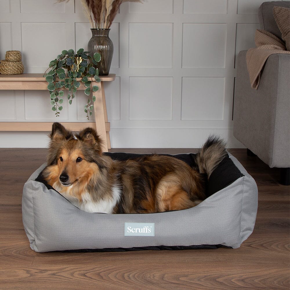 Expedition Box Bed - Storm Grey petslovescruffs