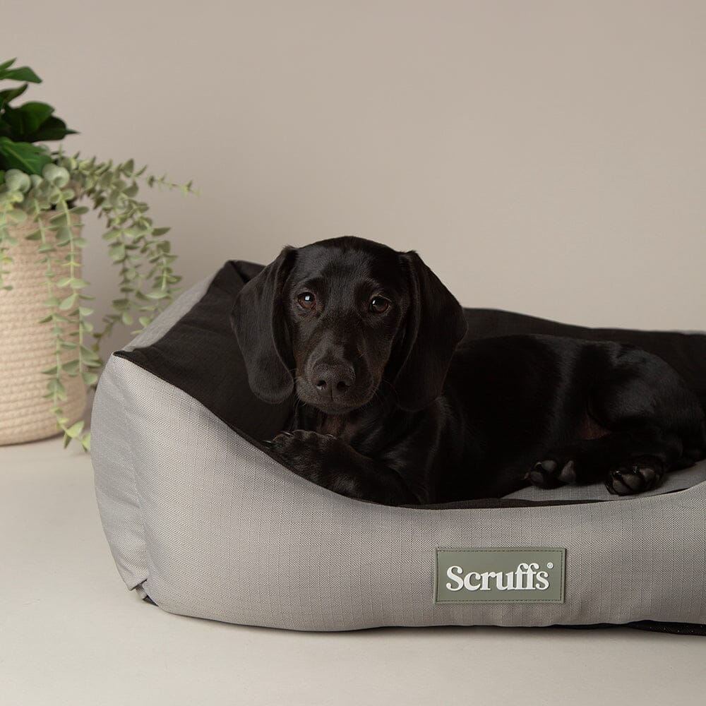 Expedition Box Bed - Storm Grey Dog Bed Scruffs®