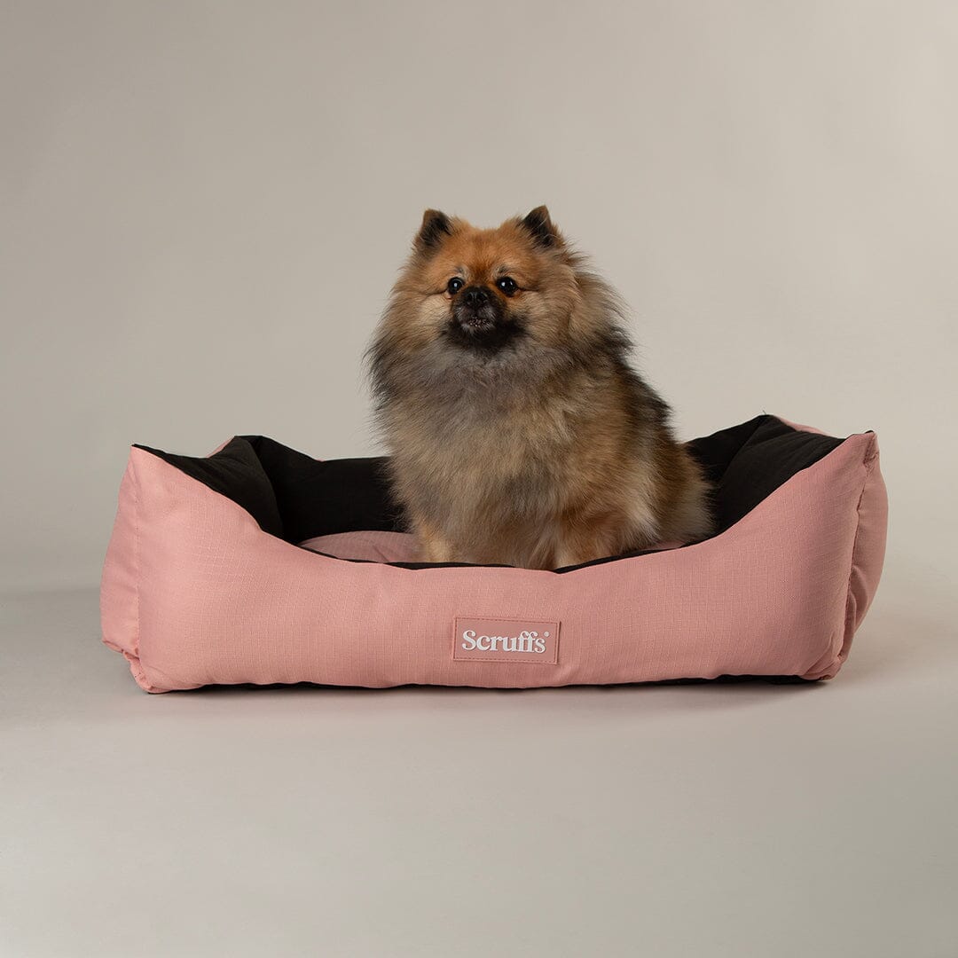 Expedition Box Bed - Rose Quartz Dog Bed Scruffs®