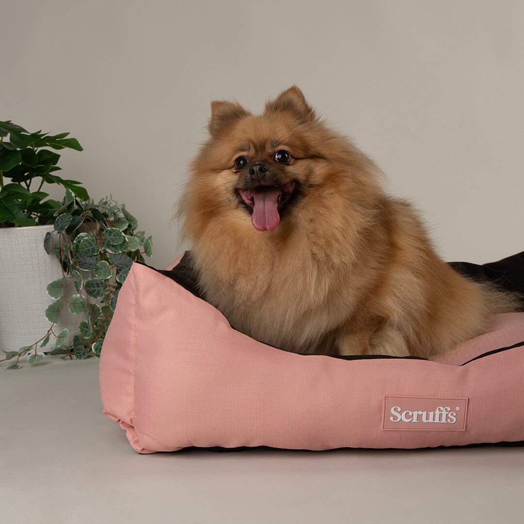 Expedition Box Bed - Rose Quartz Dog Bed Scruffs®