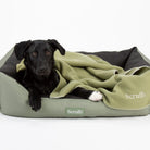 Expedition Box Bed - Khaki Green petslovescruffs