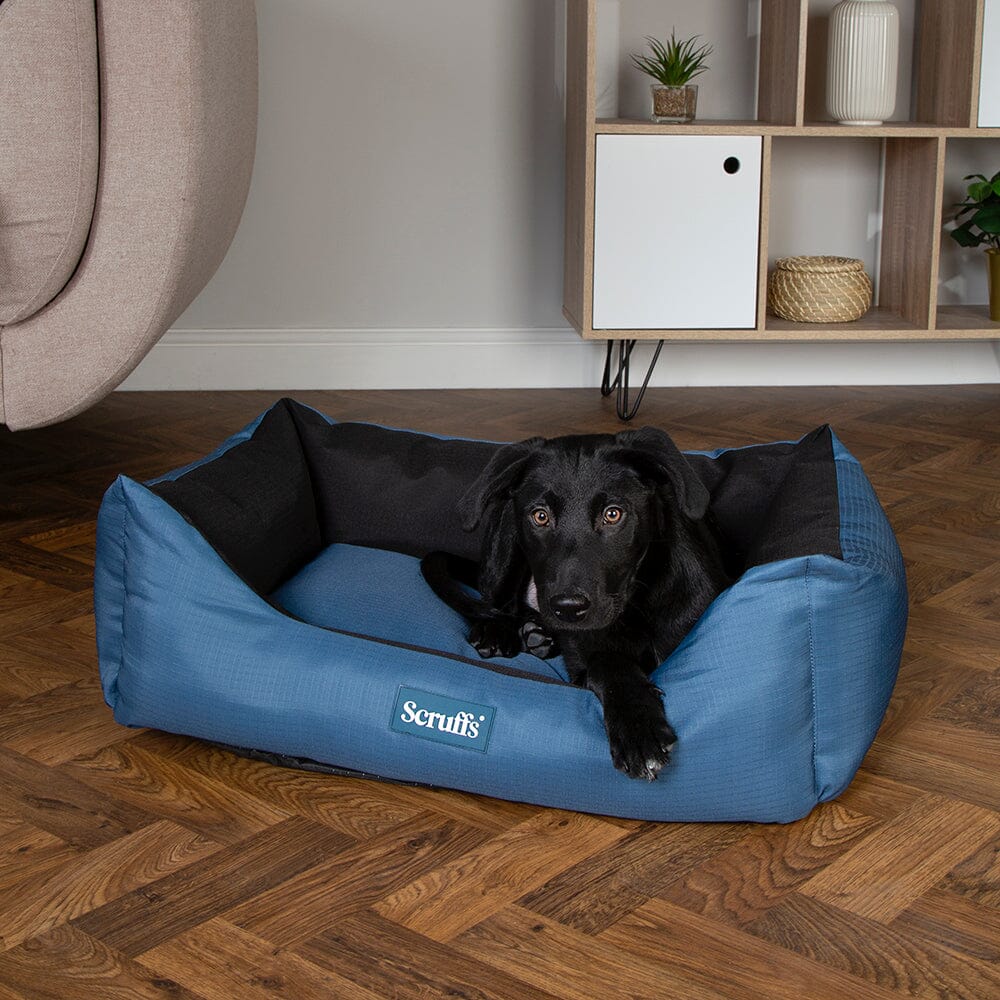 Expedition Box Bed - Atlantic Blue Dog Bed Scruffs