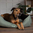 Expedition Box Bed - Khaki Green petslovescruffs