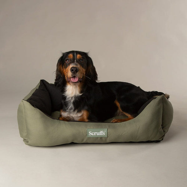 Expedition Box Bed - Khaki Green Scruffs®