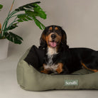 Expedition Box Bed - Khaki Green Scruffs®