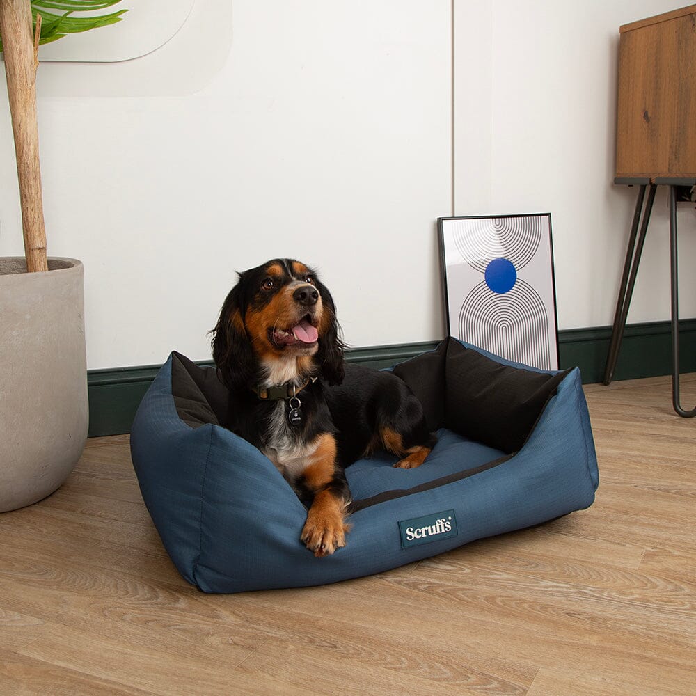 Expedition Box Bed - Atlantic Blue Dog Bed Scruffs®
