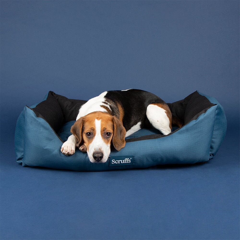 Expedition Box Bed - Atlantic Blue Dog Bed Scruffs