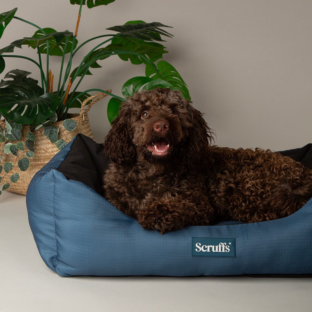 Expedition Box Bed - Atlantic Blue Dog Bed Scruffs®