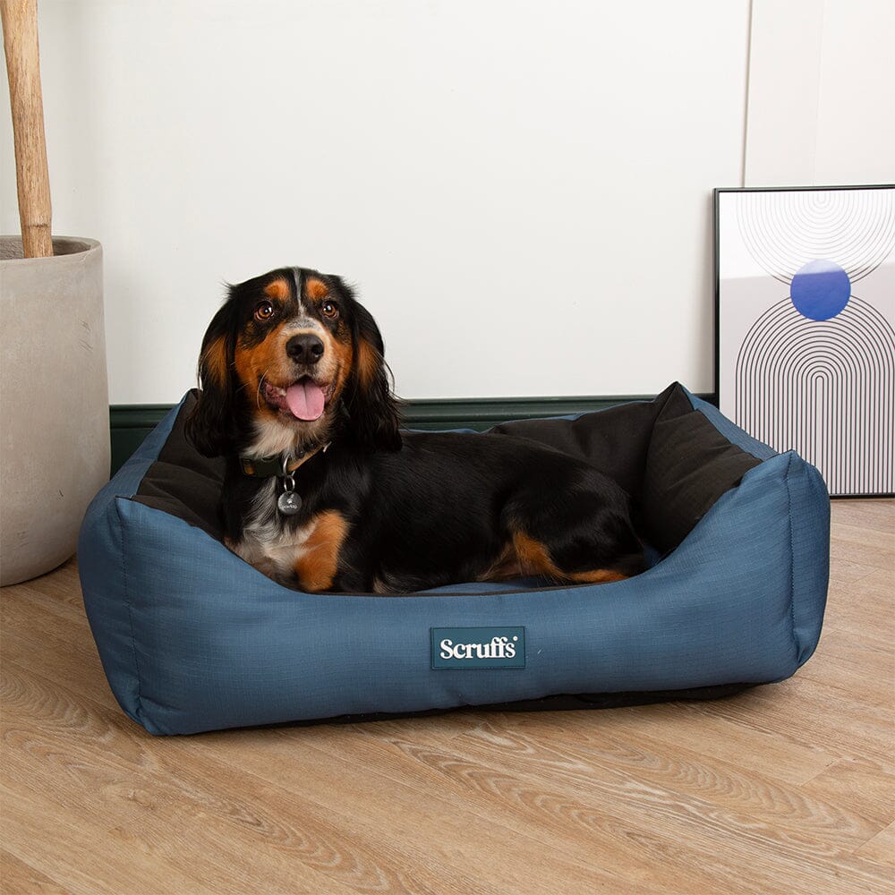 Expedition Box Bed - Atlantic Blue Dog Bed Scruffs®