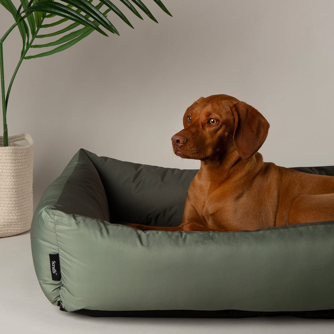 Expedition Water Resistant Box Bed - Khaki Green Scruffs®