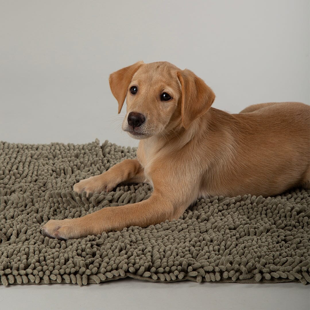 Noodle Super Absorbent Dry Mat - Sage Green Dog Mat Scruffs®