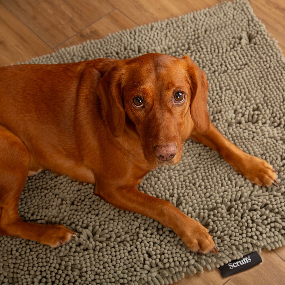 Noodle Super Absorbent Dry Mat - Sage Green Dog Mat Scruffs®