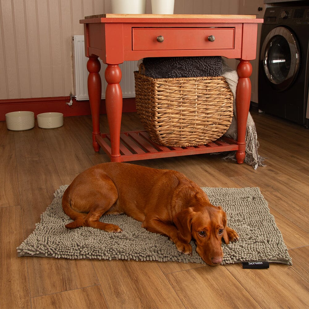 Noodle Super Absorbent Dry Mat - Sage Green Dog Mat Scruffs®