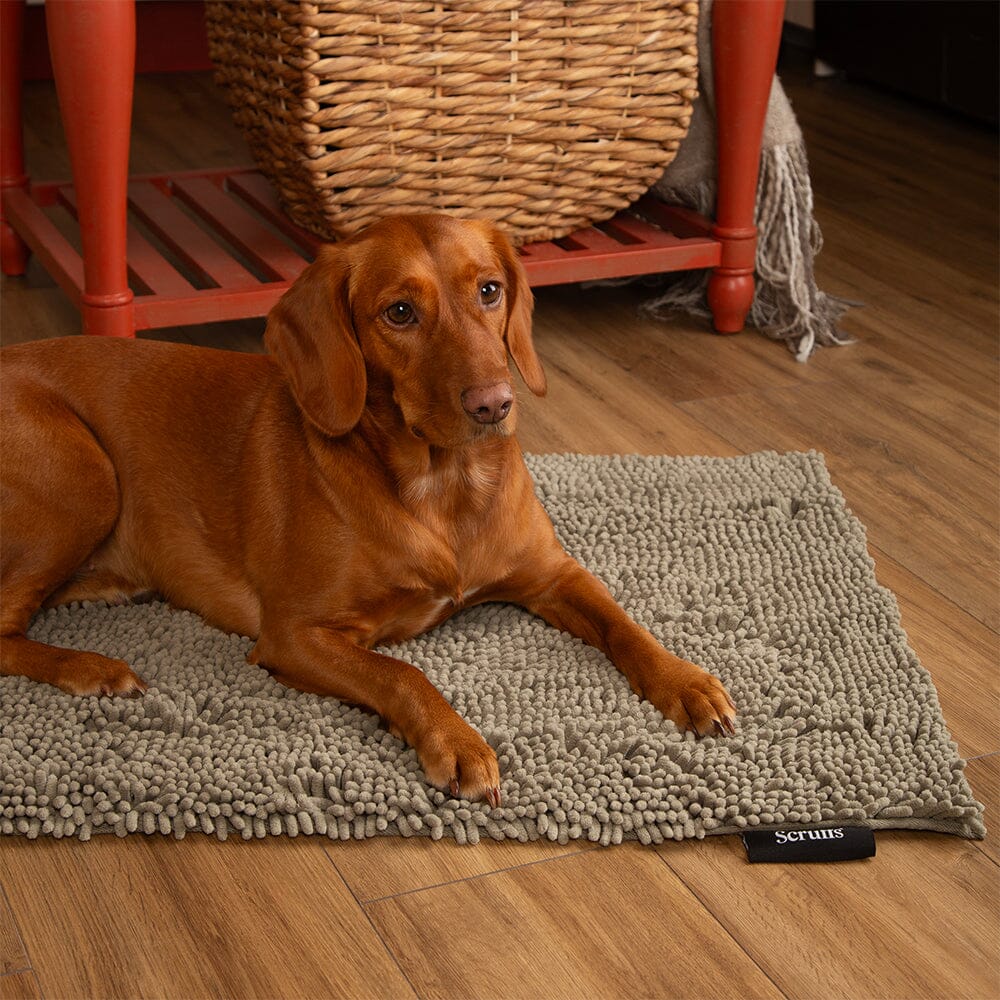 Noodle Super Absorbent Dry Mat - Sage Green Dog Mat Scruffs®