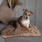 Snuggle Blanket - Caramel Brown Dog Blanket Scruffs®