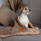 Snuggle Blanket - Caramel Brown Dog Blanket Scruffs®