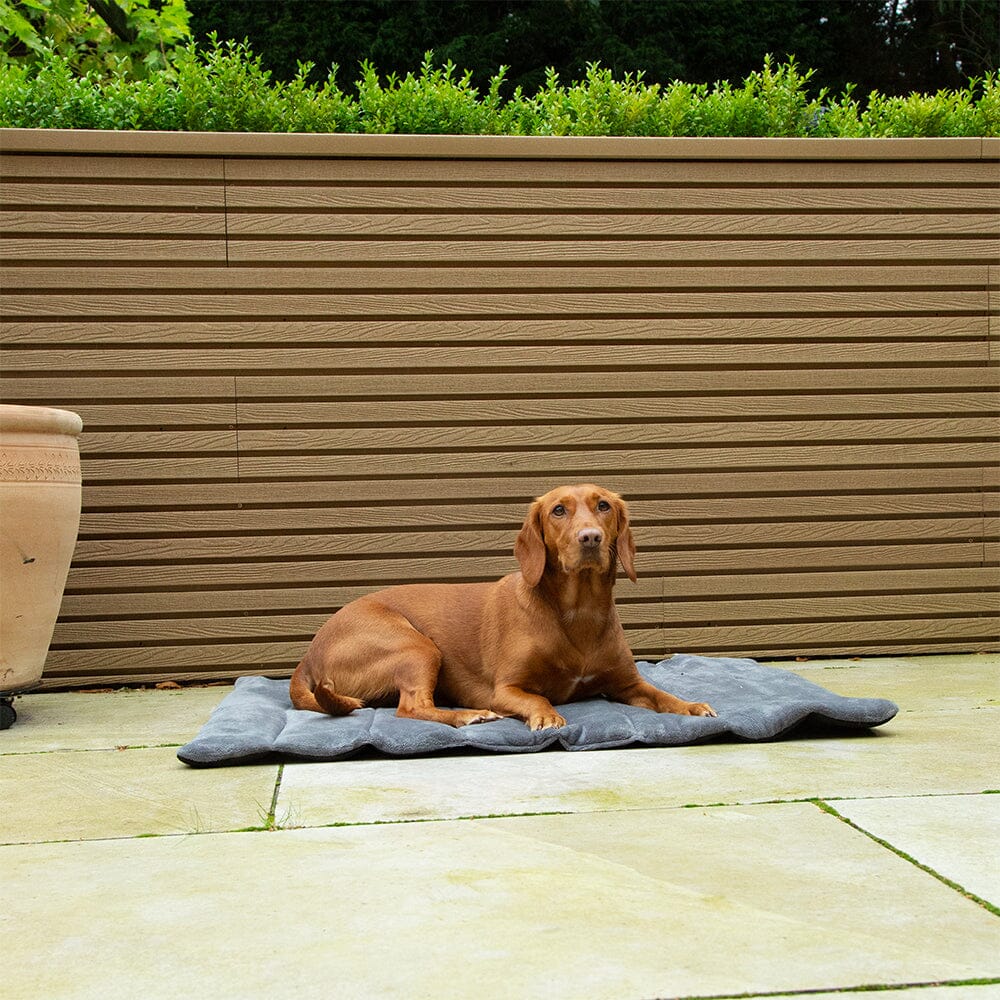 Expedition Roll Up Travel Pet Bed - Khaki Green Dog Bed Scruffs®