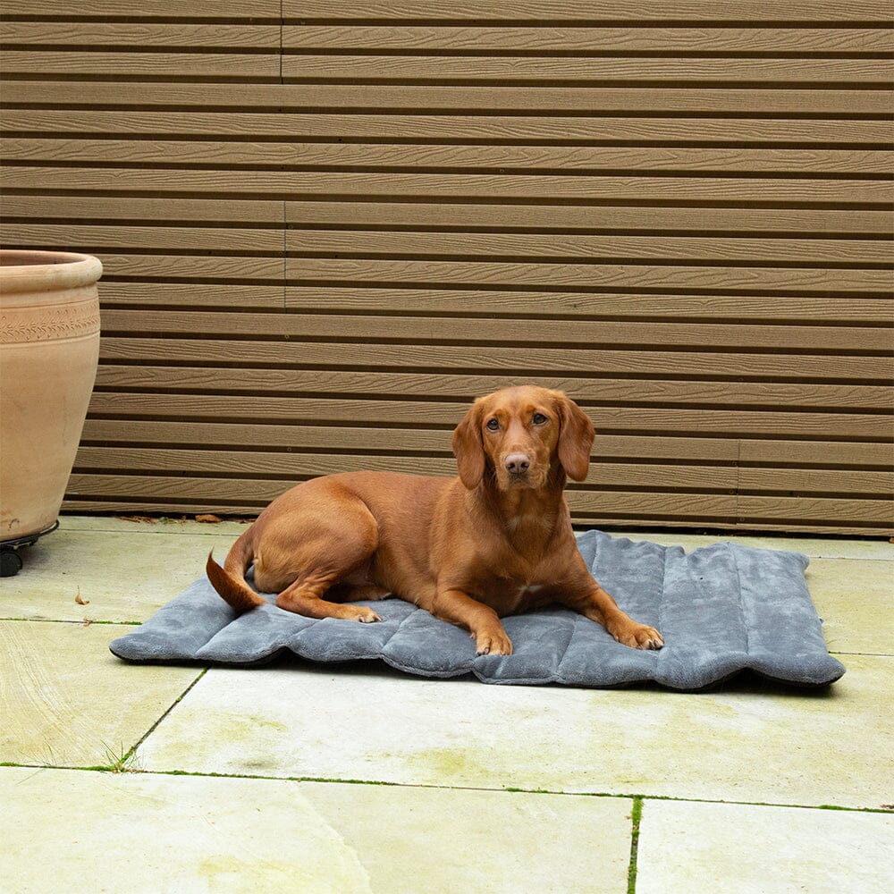 Expedition Roll Up Travel Pet Bed - Khaki Green Dog Bed Scruffs®